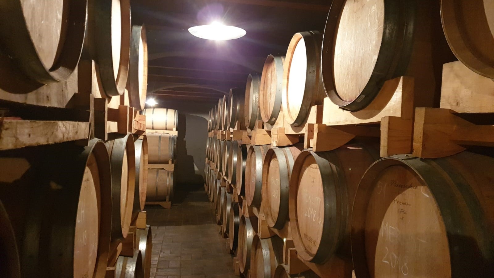 Wine & Olive Oil Tasting Wine Barrels